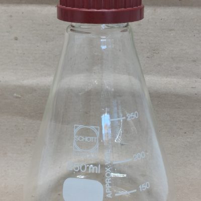 BALAO ERL.C/TAMPA PLST  250 ml