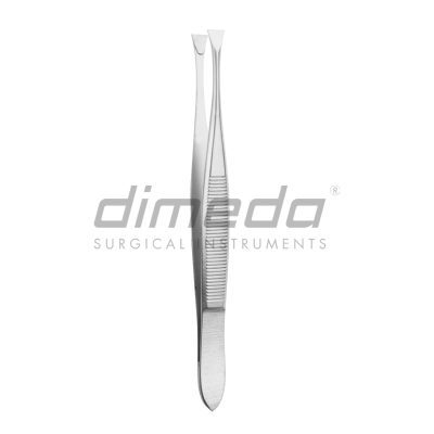 PINC.LITTAUER 43.424.08