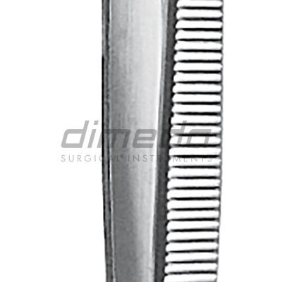 PINC.GERALD 10.310.18