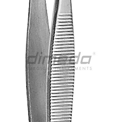PINC.COLLIN-DUVAL 10.252.14   20cms