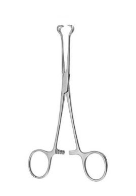 PINC.BABCOCK 64.168.20